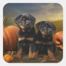 Search for rottweiler puppies stickers Pet