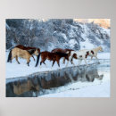 Search for wild horse posters Farm animal