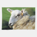 Search for sheep tea towels Ewe