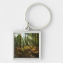 Search for stream key rings Forest