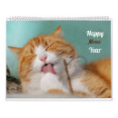 Search for cute kitten calendars Funny