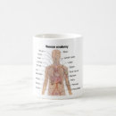 Search for human organ mugs Organs