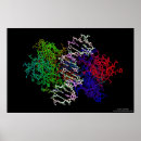 Search for acid posters Protein