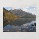Search for jenny postcards Reflection