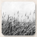 Search for dunes coasters Landscapes