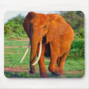 Search for tusks mousepads Africa