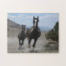 Search for wild horse puzzles Foal