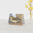 Search for feeder cards Goldfinch