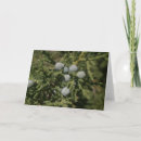 Search for new mexico christmas cards Green