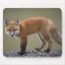 Search for public land mousepads Wildlife