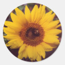 Search for bumble stickers Sunflowers