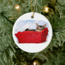 Search for sleeping cat christmas tree decorations Kitten
