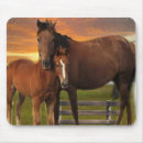 Search for digital horse mousepads Animals