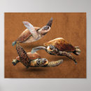 Search for sea turtle posters Blue