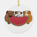 Search for guinea pig christmas tree decorations Animal