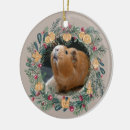 Search for guinea pig christmas tree decorations Cavies