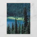 Search for grand teton national park postcards Water