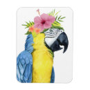 Search for parrot magnets Flowers