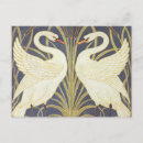 Search for vintage bird paintings postcards Birds