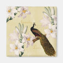 Search for peacocks magnets Floral