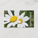 Search for yellow daisy Feminine