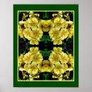 Search for primrose posters Flower