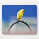 Search for goldfinches mousepads Yellow