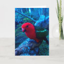 Search for king photo cards Nature