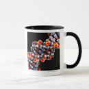 Search for dna molecule mugs Biology
