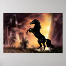 Search for stallion posters Friesian