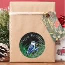 Search for kookaburras stickers Kingfisher