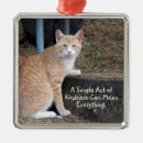 Search for ginger christmas tree decorations Tabby cat