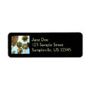 Search for palm return address labels Photography