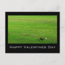 Search for cow valentines day cards Animal
