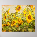 Search for vintage sunflower posters Yellow