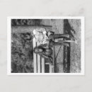 Search for zoo postcards Photograph