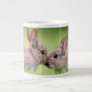 Search for cottontail mugs Animal