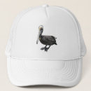 Search for pelicans hats Wildlife