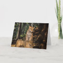 Search for jaguar cards Animals