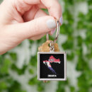 Search for mapping key rings Europe