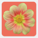 Search for yellow dahlia stickers Floral