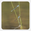 Search for state animal stickers Nature