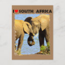 Search for elephant postcards Nature
