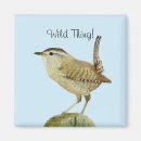 Search for wren magnets Wildlife