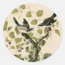 Search for audubon stickers John james audubon
