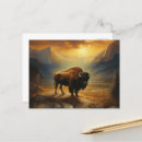 Search for native bison buffalo postcards Yellowstone