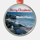 Search for splash christmas tree decorations Sea