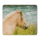 Search for fjord horse Horses