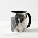 Search for pug puppy mugs Animal