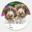 Search for dog hair stickers Pointer
